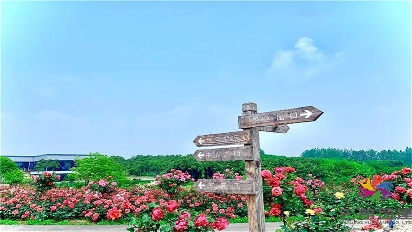 南京湯山月季園團建基地